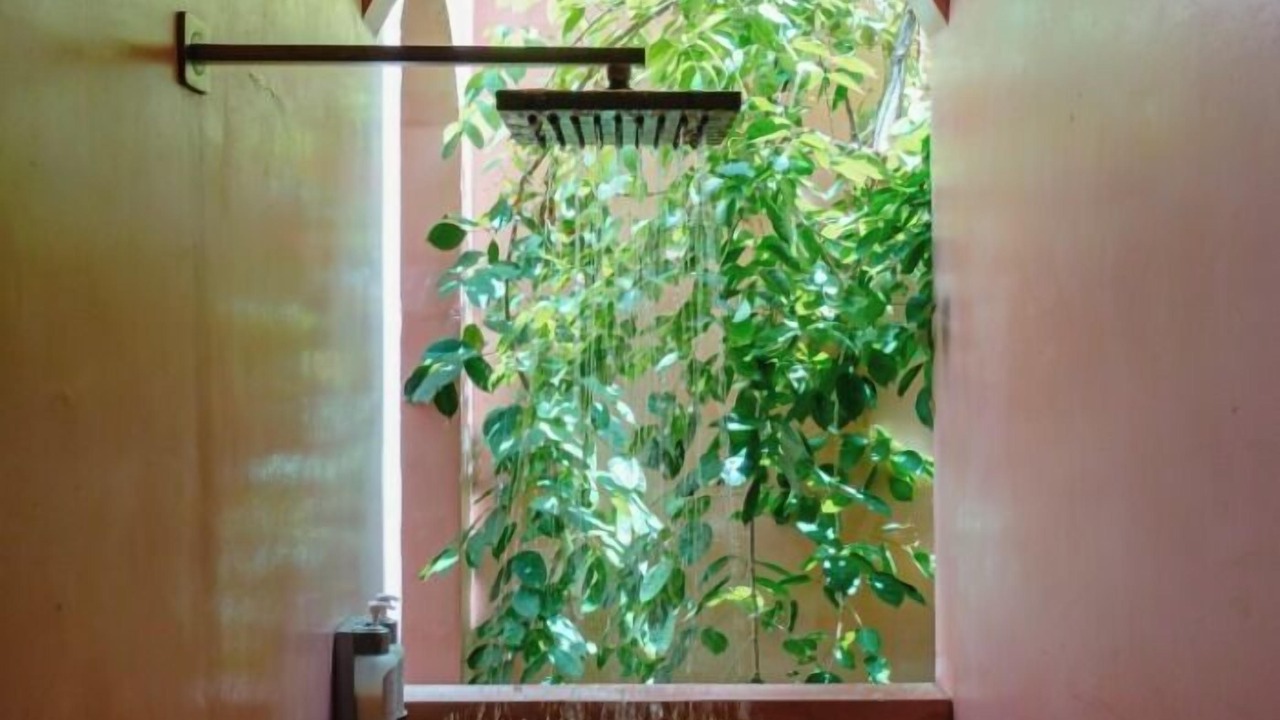 Photo of Bathroom in Centro