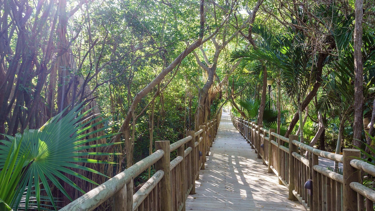 Photo of Outdoor in Villa Juarez