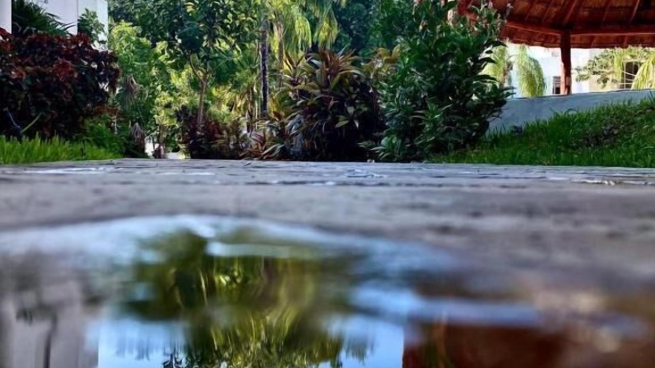 Photo of Outdoor in Playa del Carmen