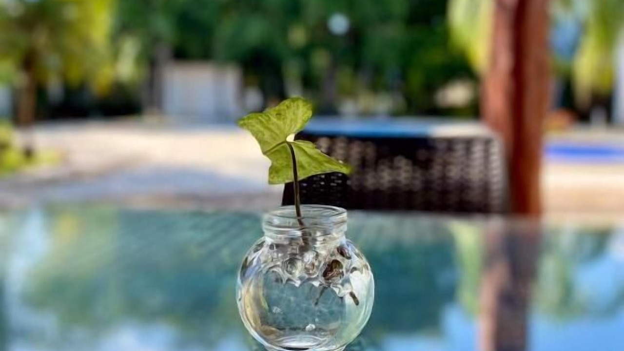 Photo of Outdoor in Playa del Carmen
