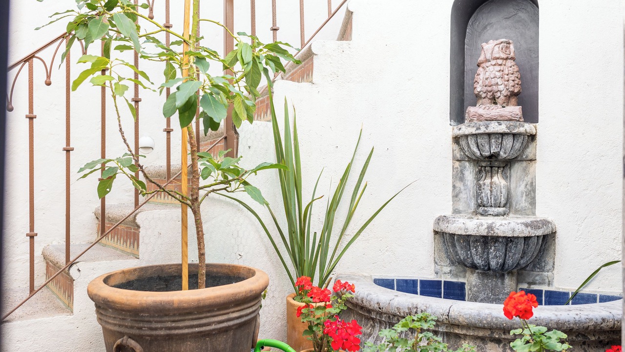 Photo of Outdoor in Zona Centro