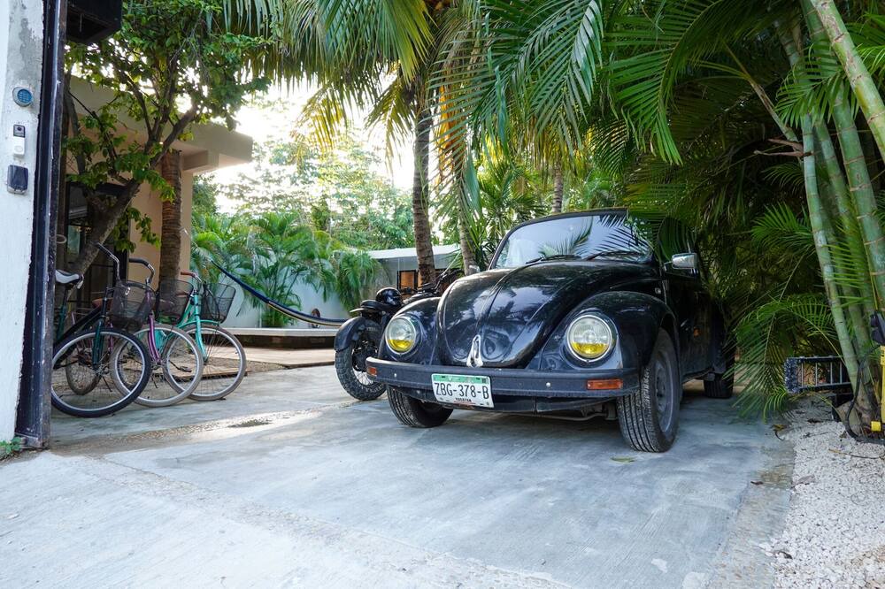 Photo of Outdoor in Luis Donaldo Colosio