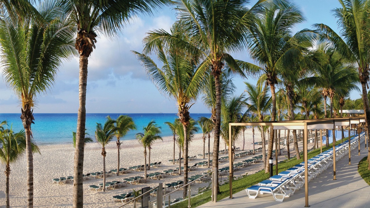 Photo of Others in Playacar