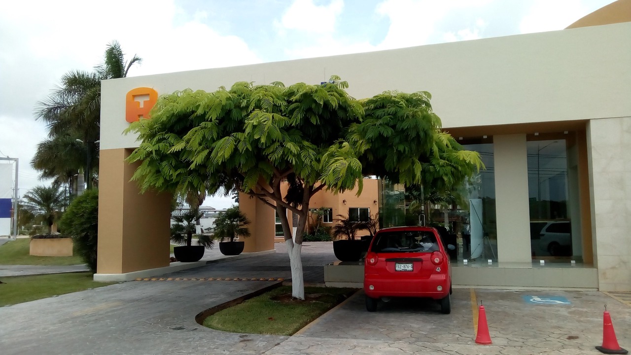 Photo of Others in Merida