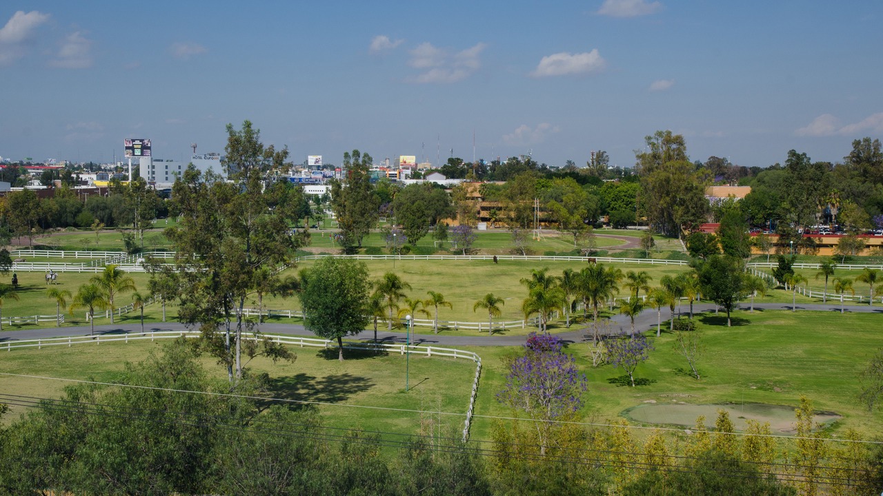 Photo of Outdoor in Celaya