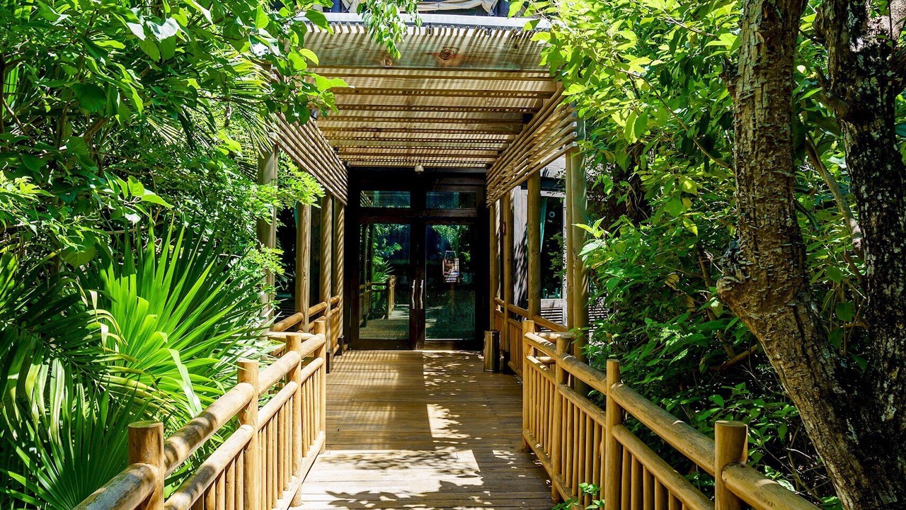 Photo of Outdoor in Villa Juarez