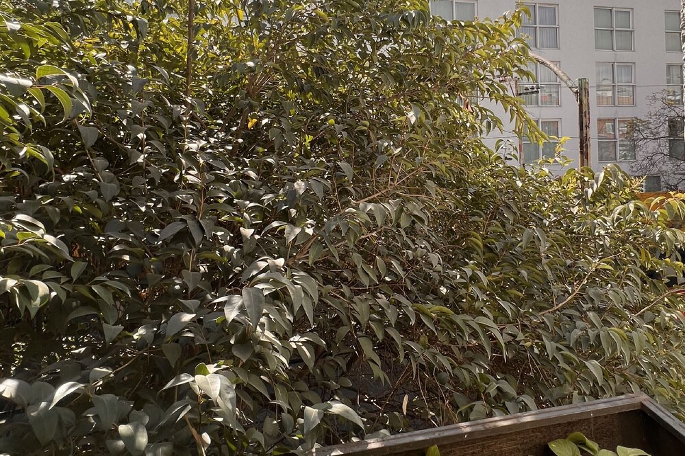 Photo of Outdoor in Reforma