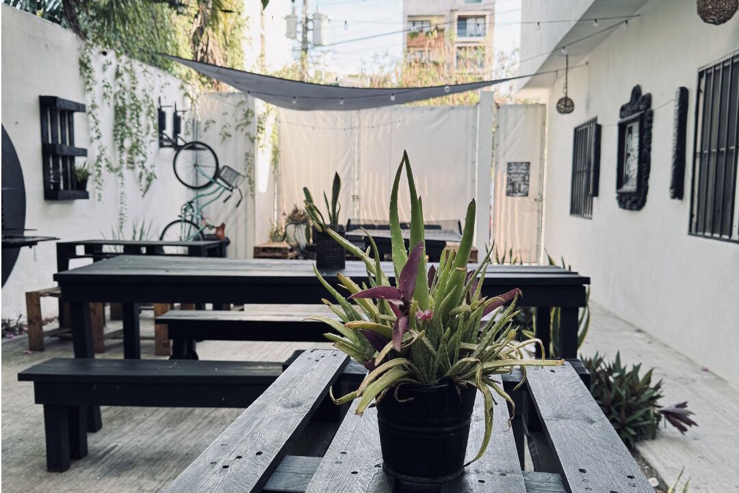 Photo of Outdoor in Zazil-ha