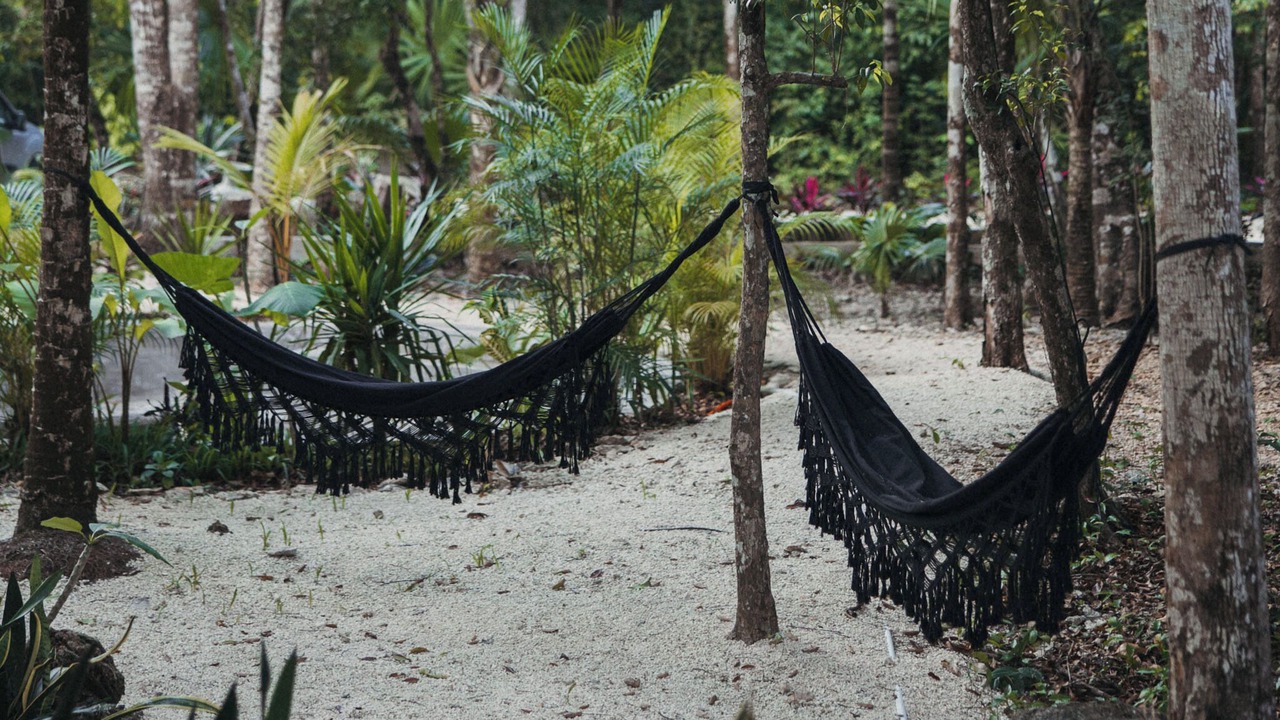 Photo of Outdoor in Leona Vicario