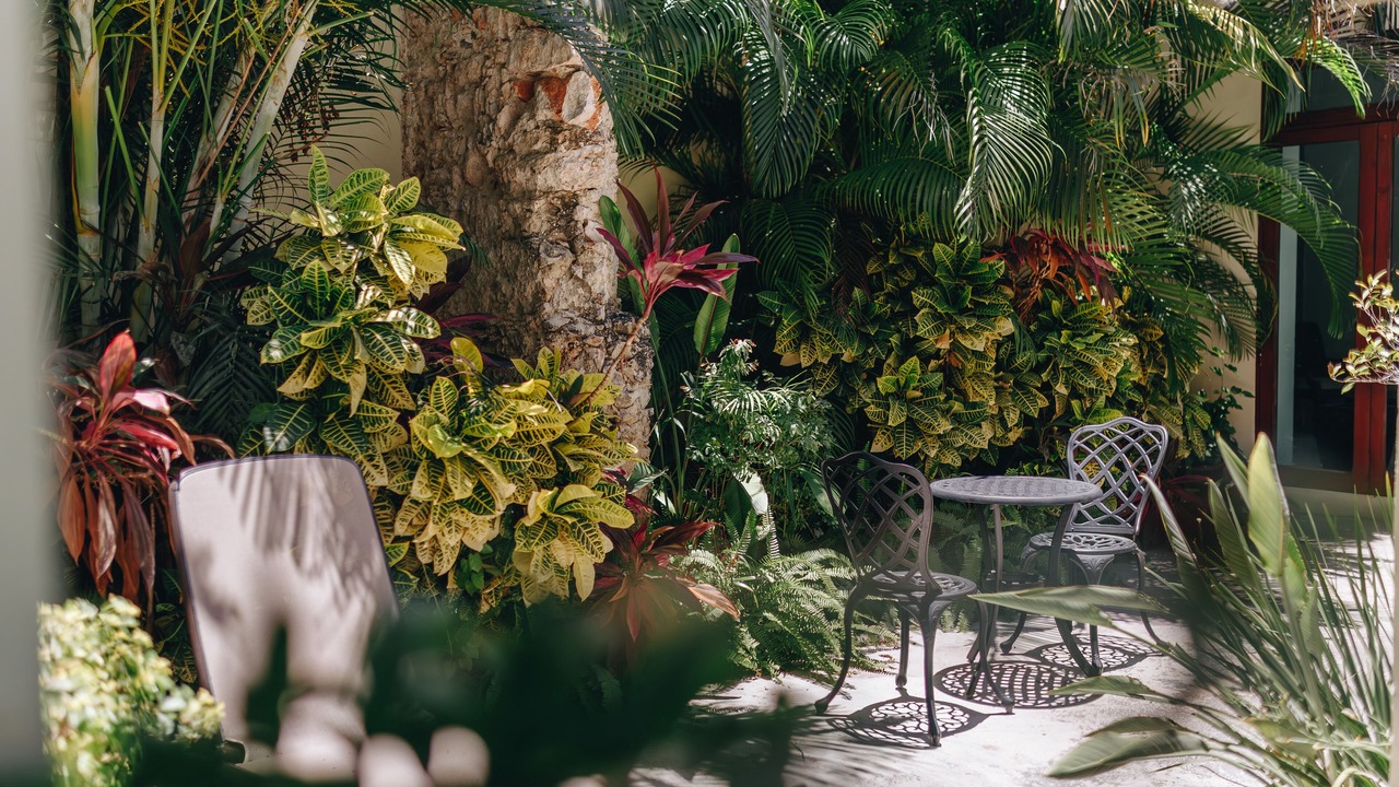 Photo of Outdoor in Zona Paseo Montejo