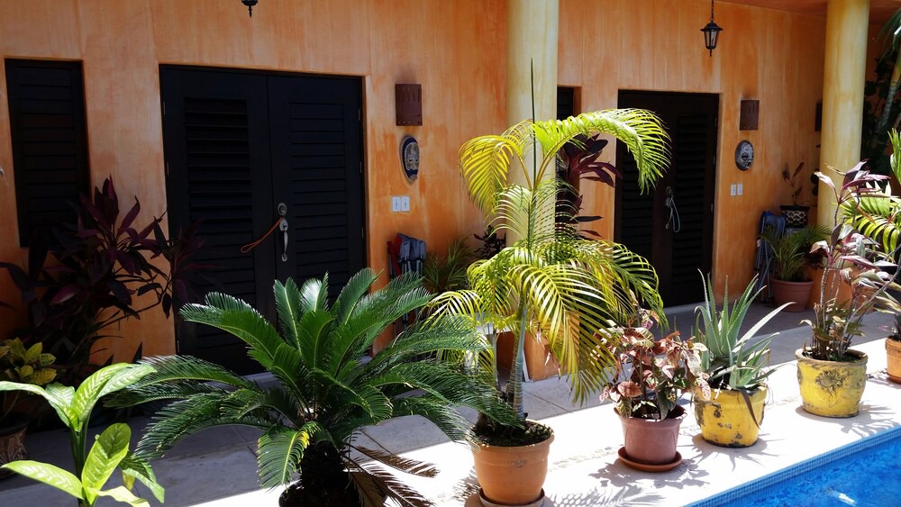 Photo of Others in Colonia Emiliano Zapata