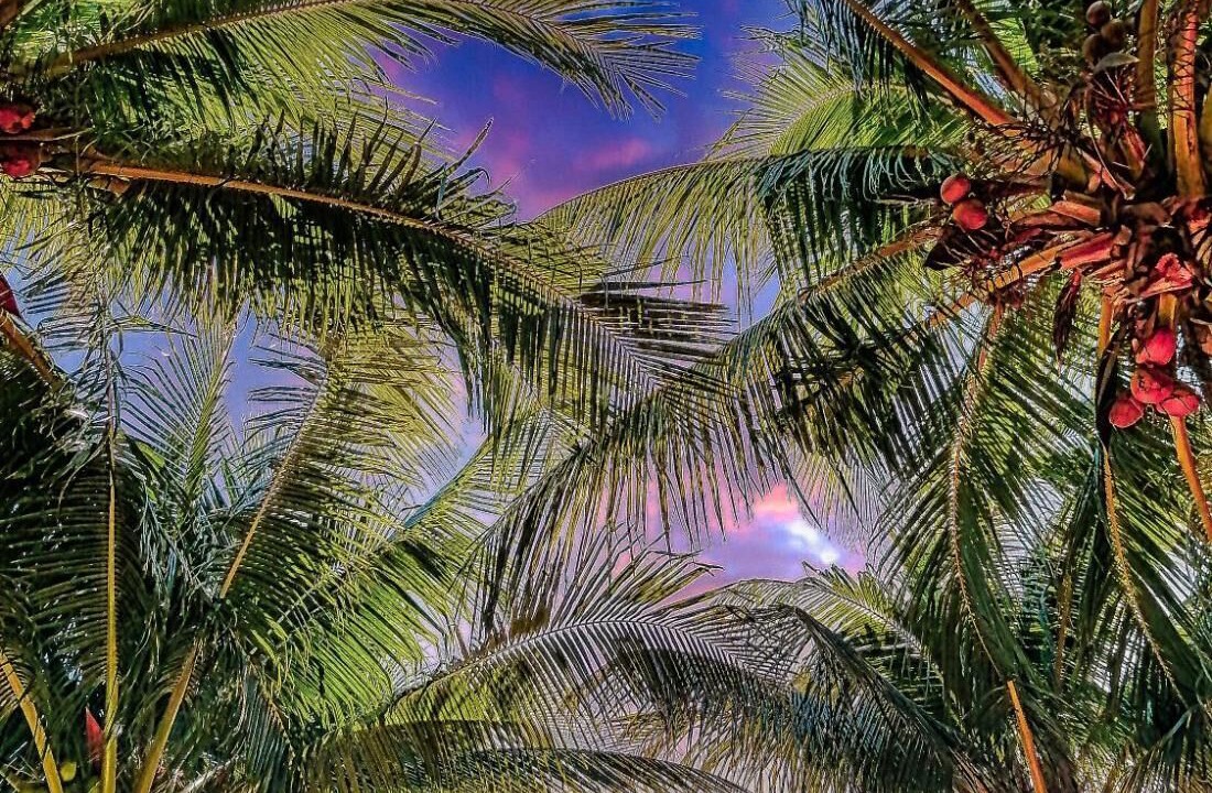 Photo of Outdoor in El Cuyo