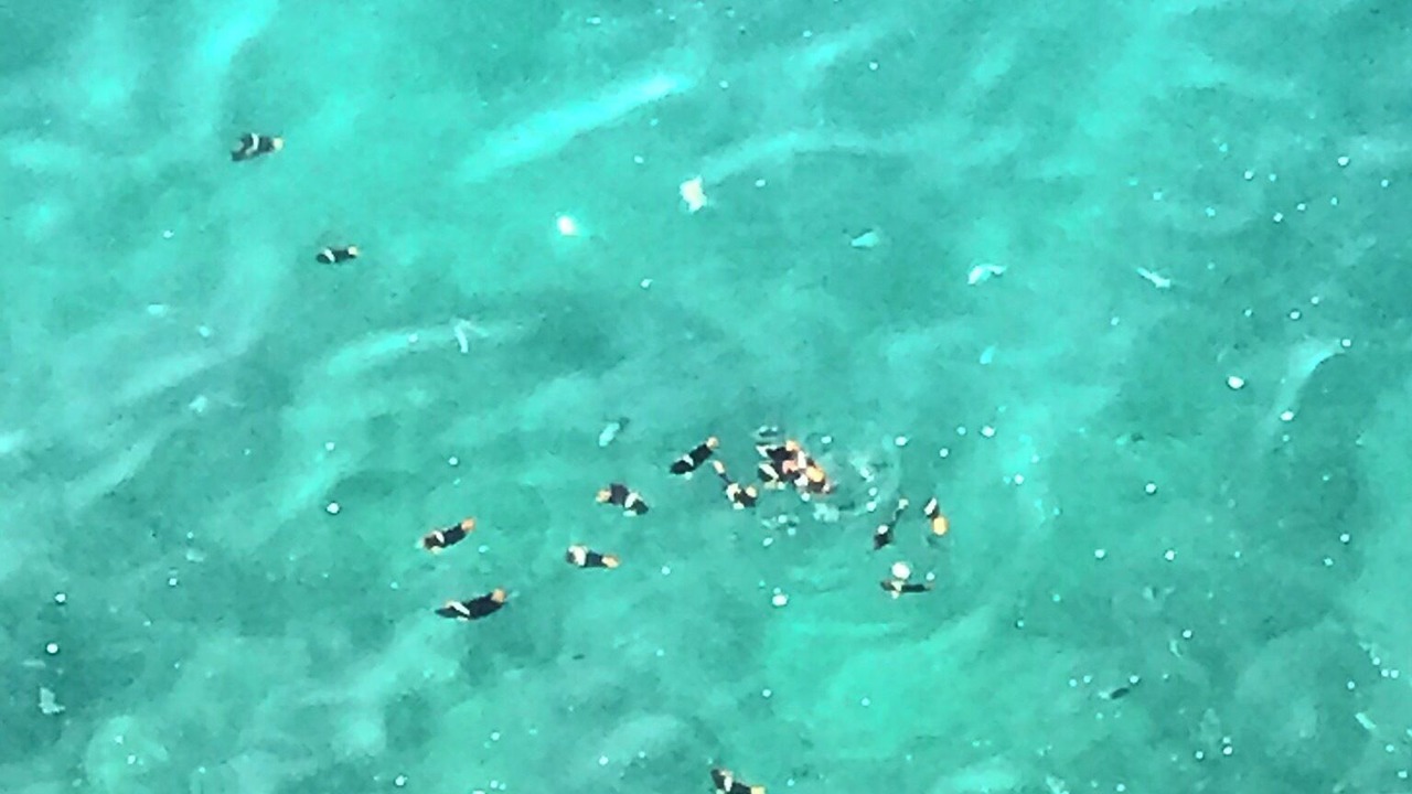 Photo of Outdoor in Mismaloya