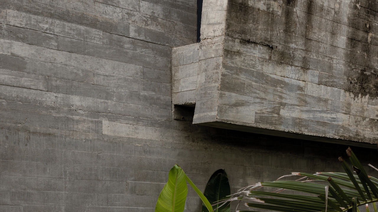 Photo of Outdoor in Punta de Mita