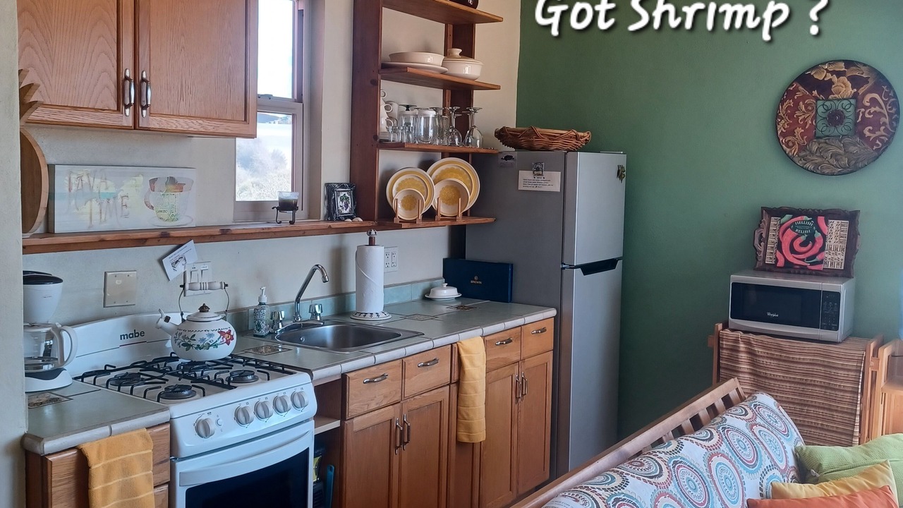 Photo of Kitchen in Las Conchas
