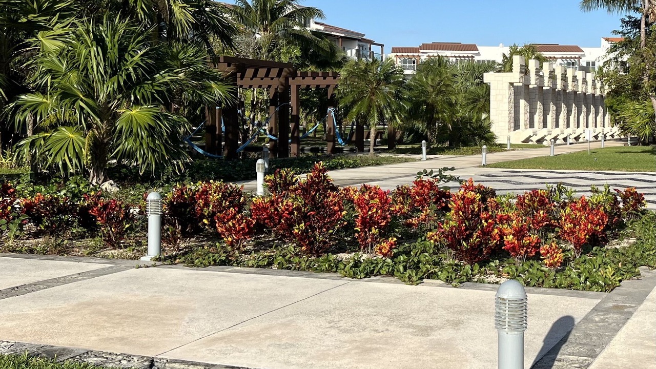 Photo of Outdoor in Puerto Juarez
