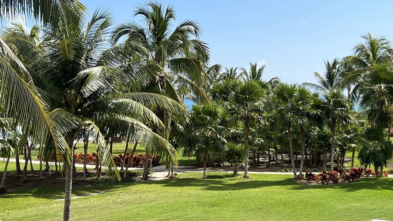 Photo of Outdoor in Puerto Juarez