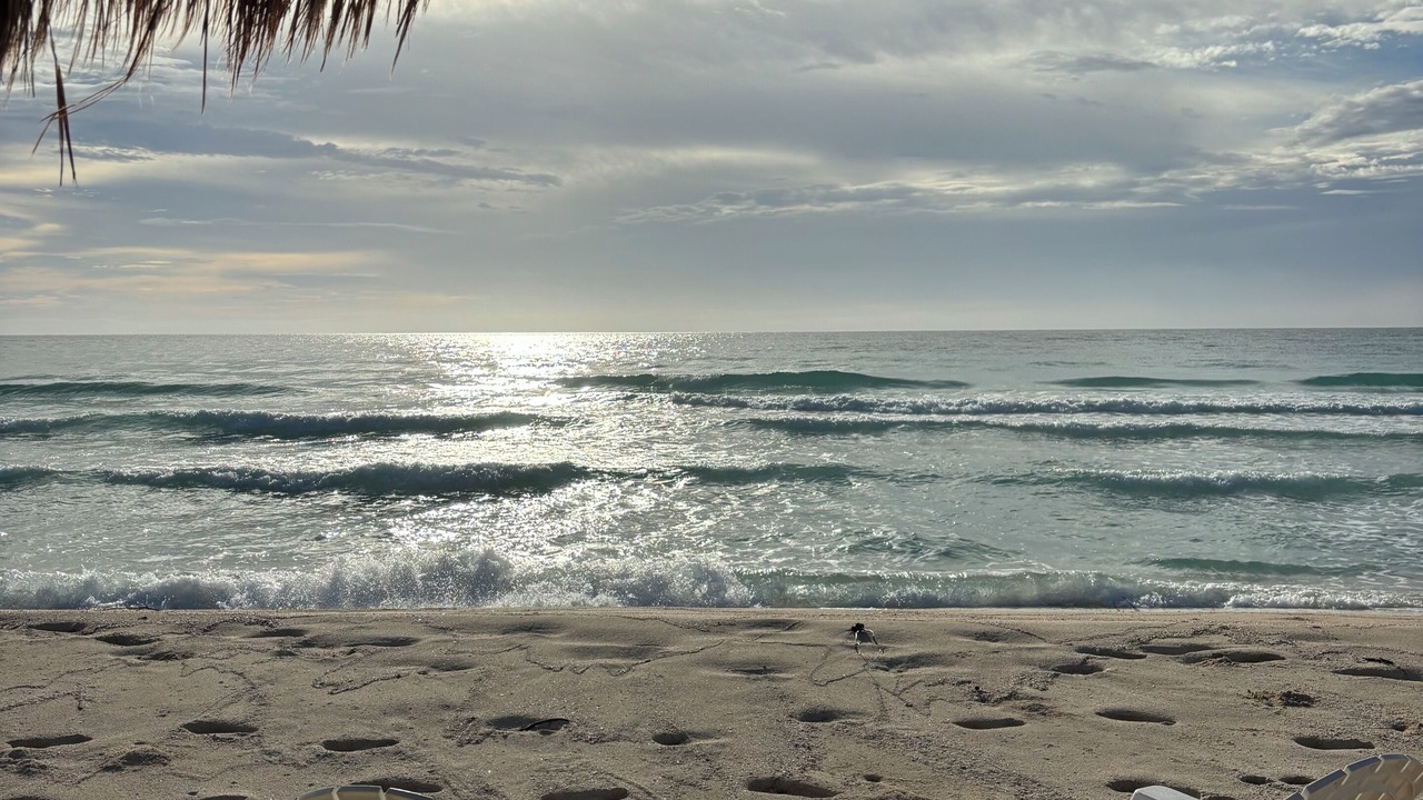 Photo of Others in Playa del Secreto