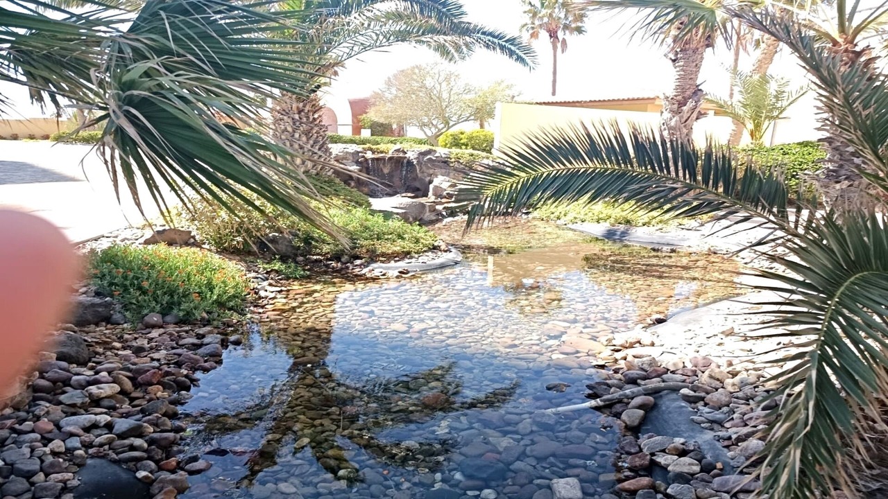 Photo of Outdoor in Puerto Penasco