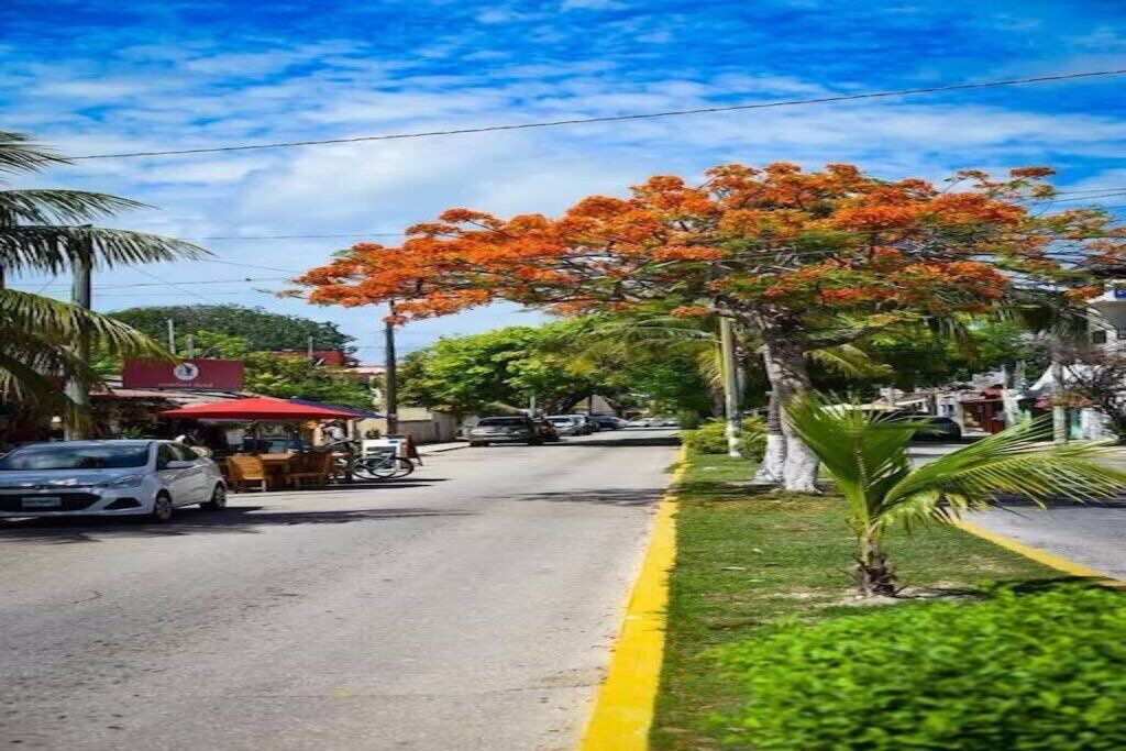 Photo of Outdoor in Puerto Morelos