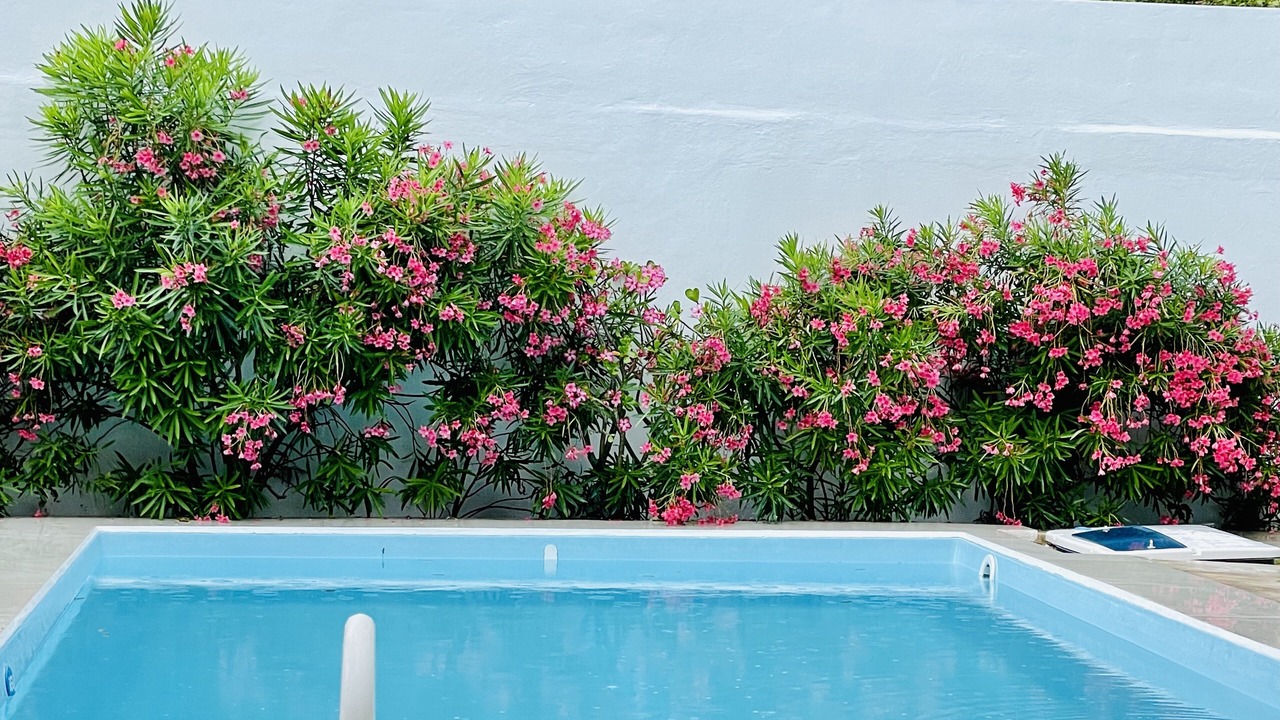 Photo of Outdoor in Puerto Morelos