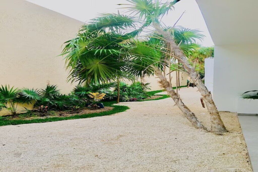 Photo of Outdoor in Puerto Morelos