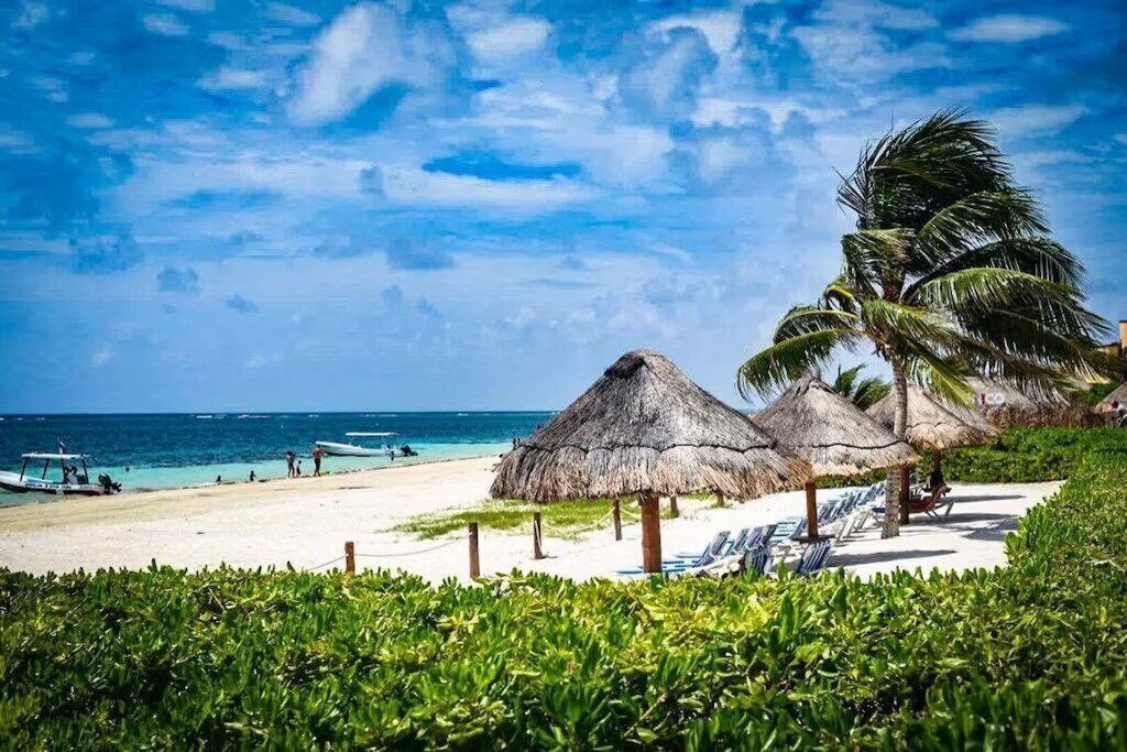 Photo of Others in Puerto Morelos