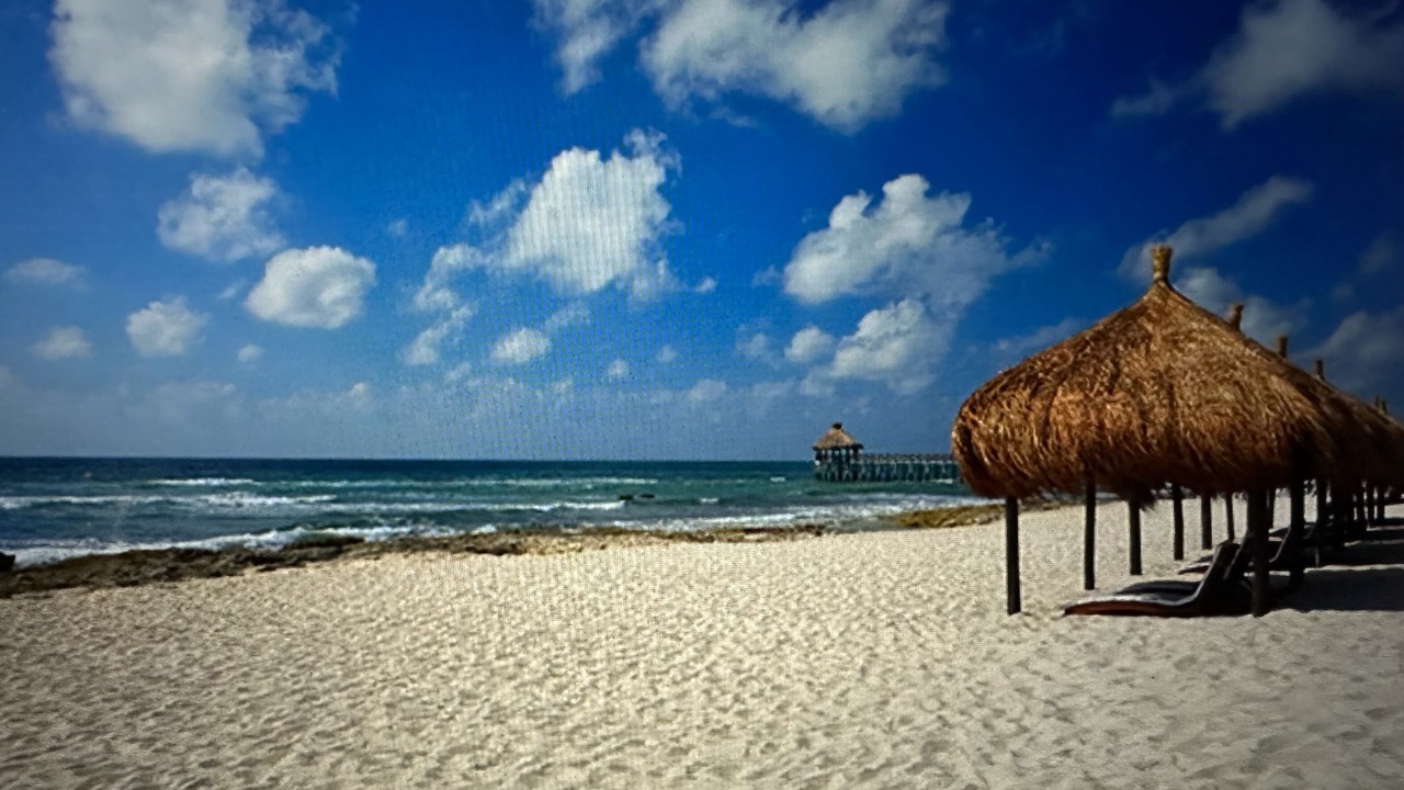 Photo of Others in Playacar Fase II