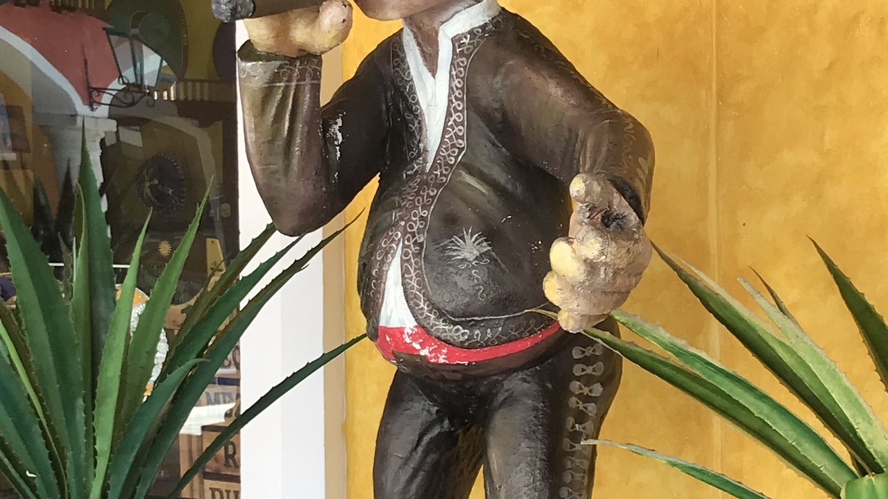 Photo of Outdoor in Akumal