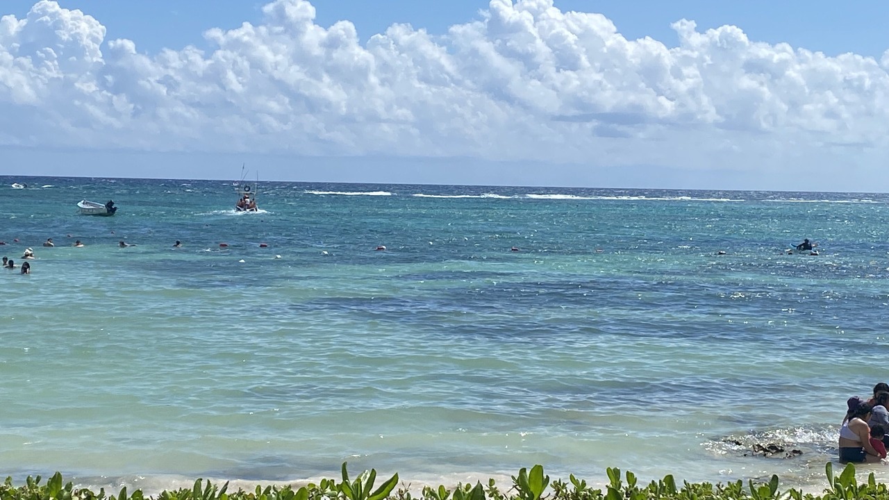 Photo of Others in Akumal