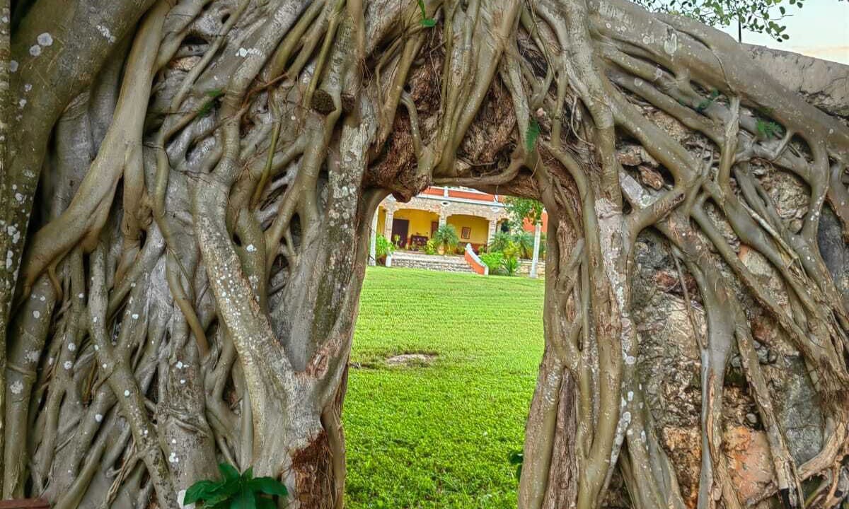 Photo of Outdoor in Merida