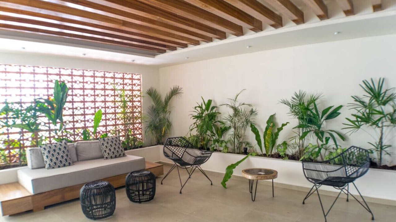 Photo of Outdoor in Gonzalo Guerrero