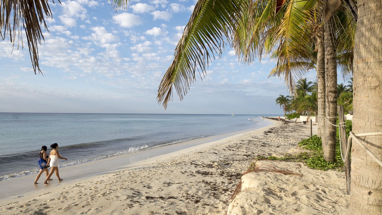 Photo of Others in Playacar