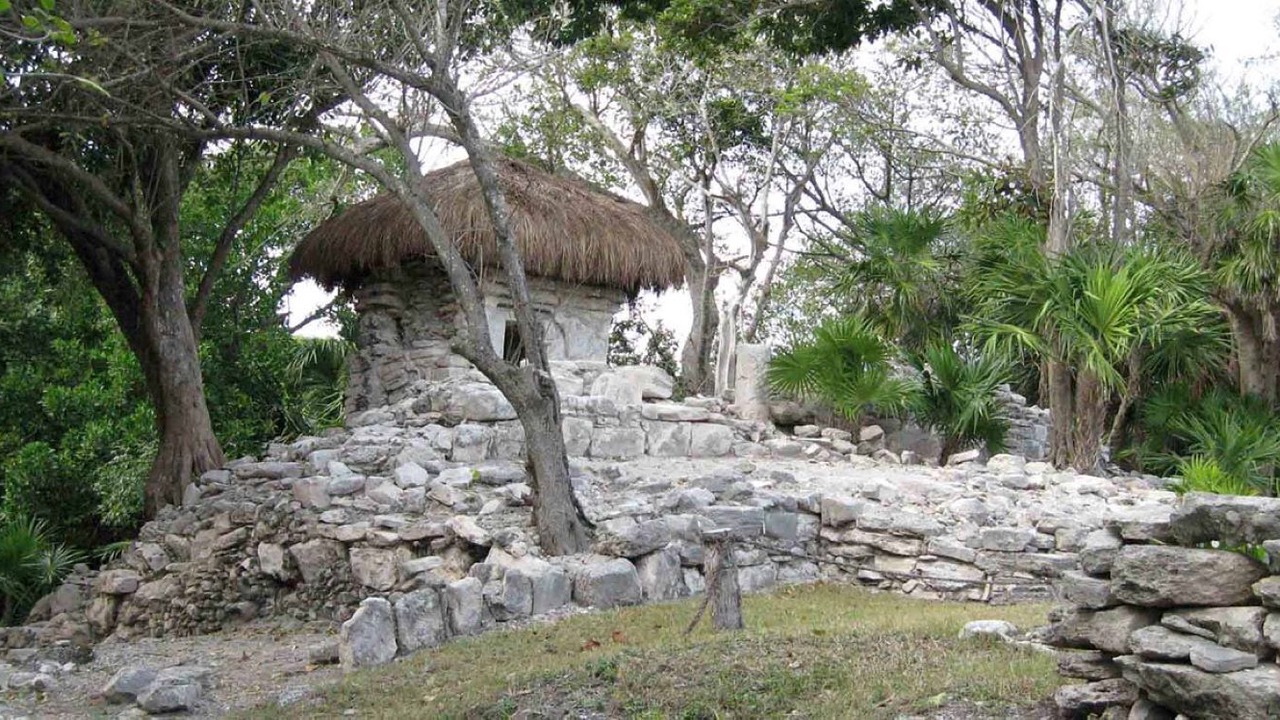 Photo of Others in Playacar