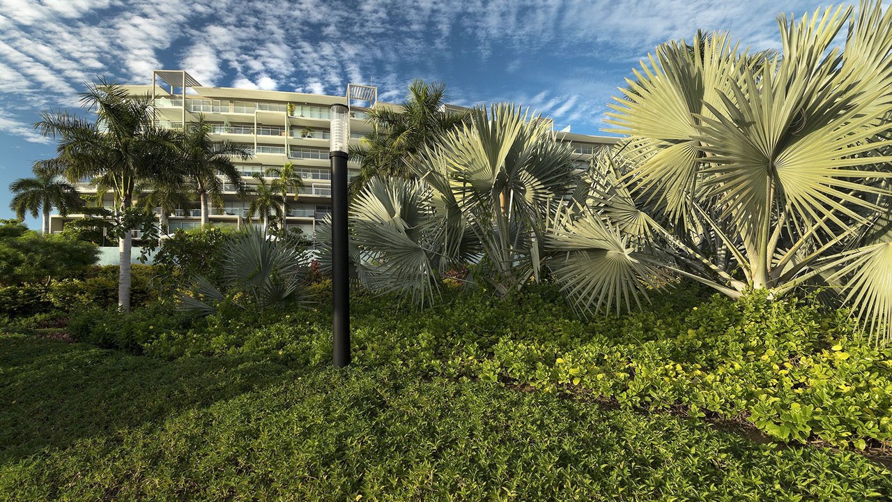 Photo of Outdoor in Emiliano Zapata