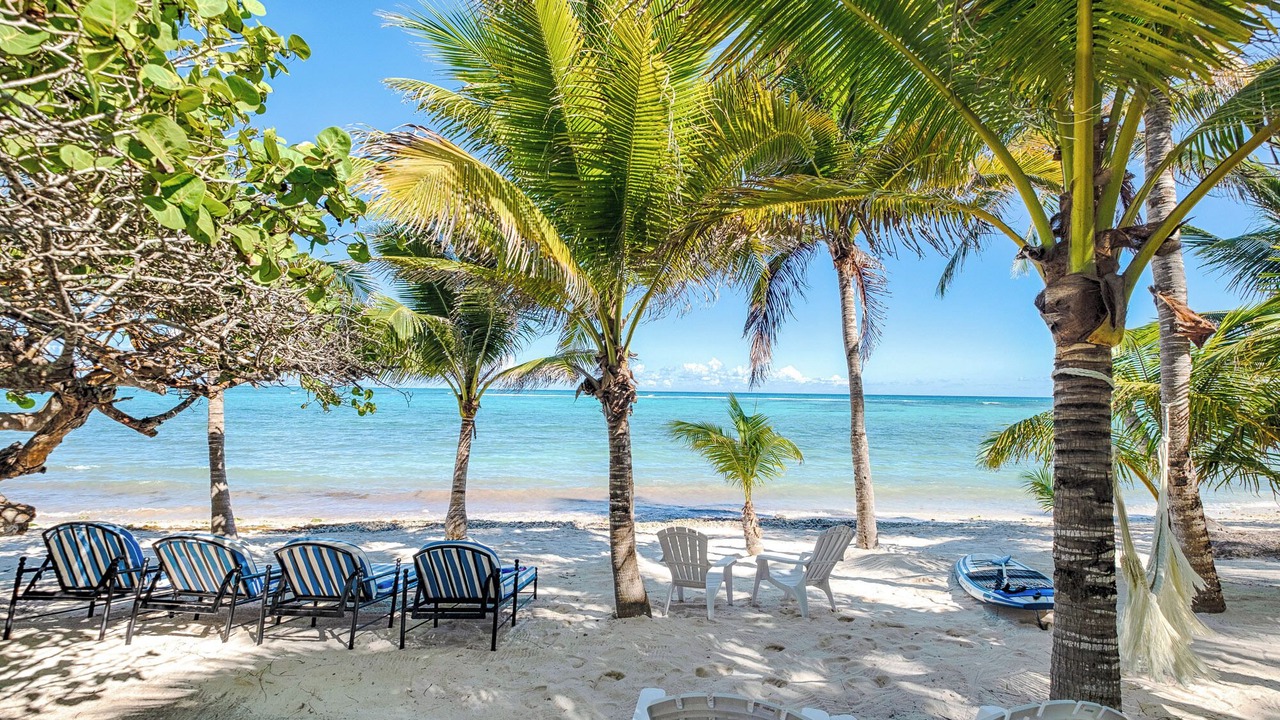 Photo of Others in Akumal
