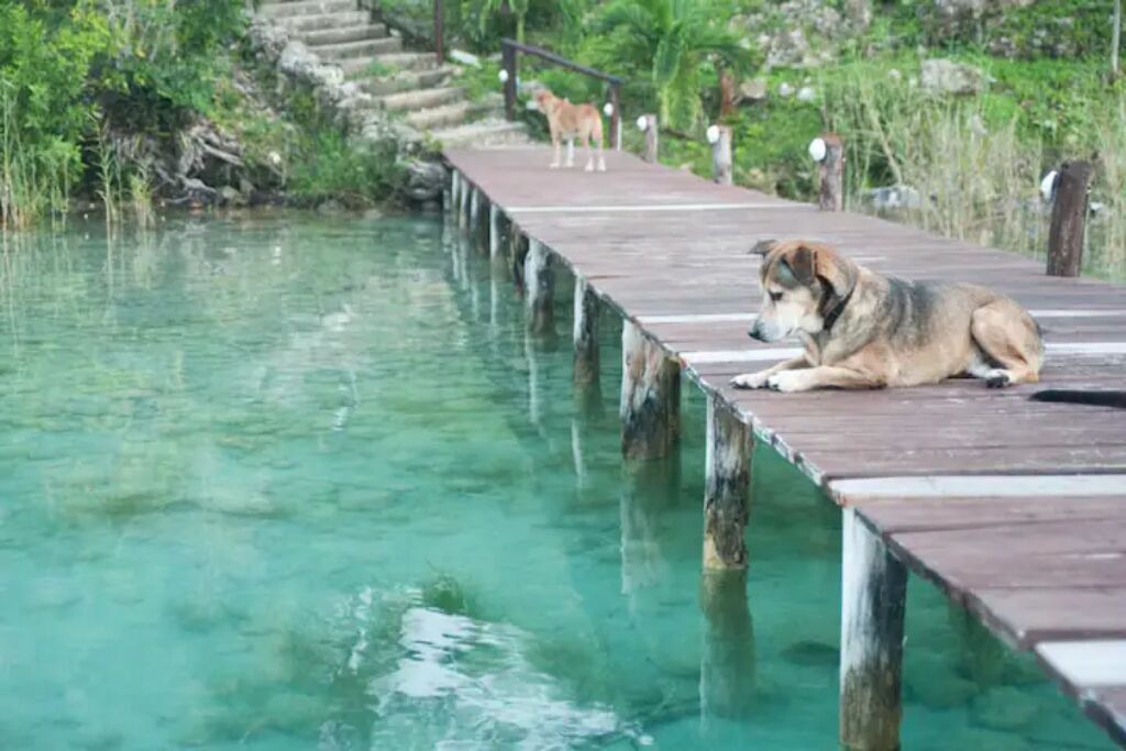Photo of Others in Bacalar