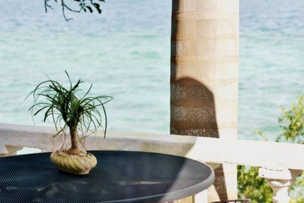 Photo of Outdoor in Bacalar