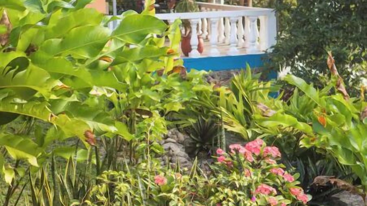 Photo of Outdoor in Bacalar