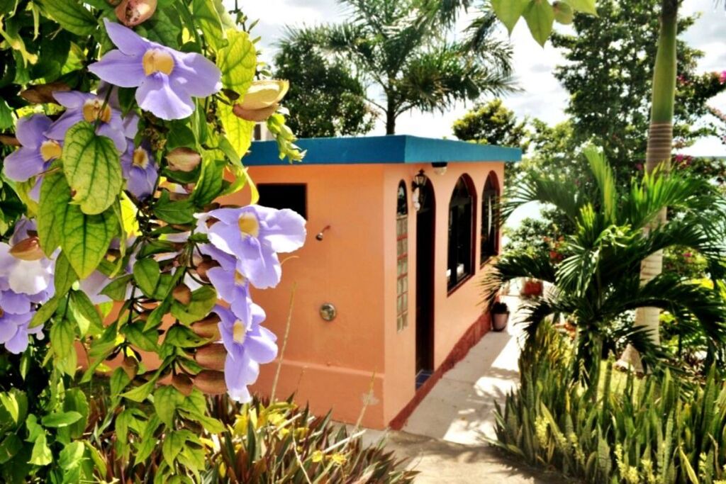 Photo of Outdoor in Bacalar