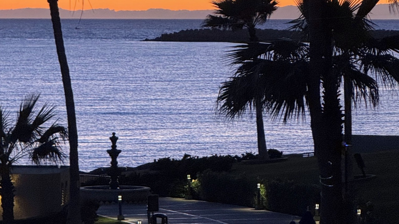 Photo of Others in Puerto Penasco
