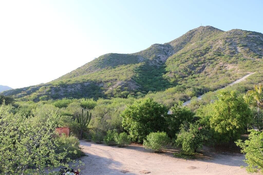 Photo of Others in Cabo Pulmo