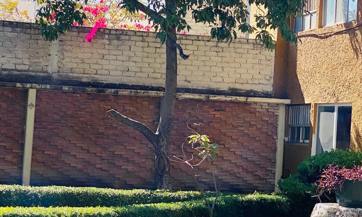 Photo of Outdoor in Downtown Queretaro