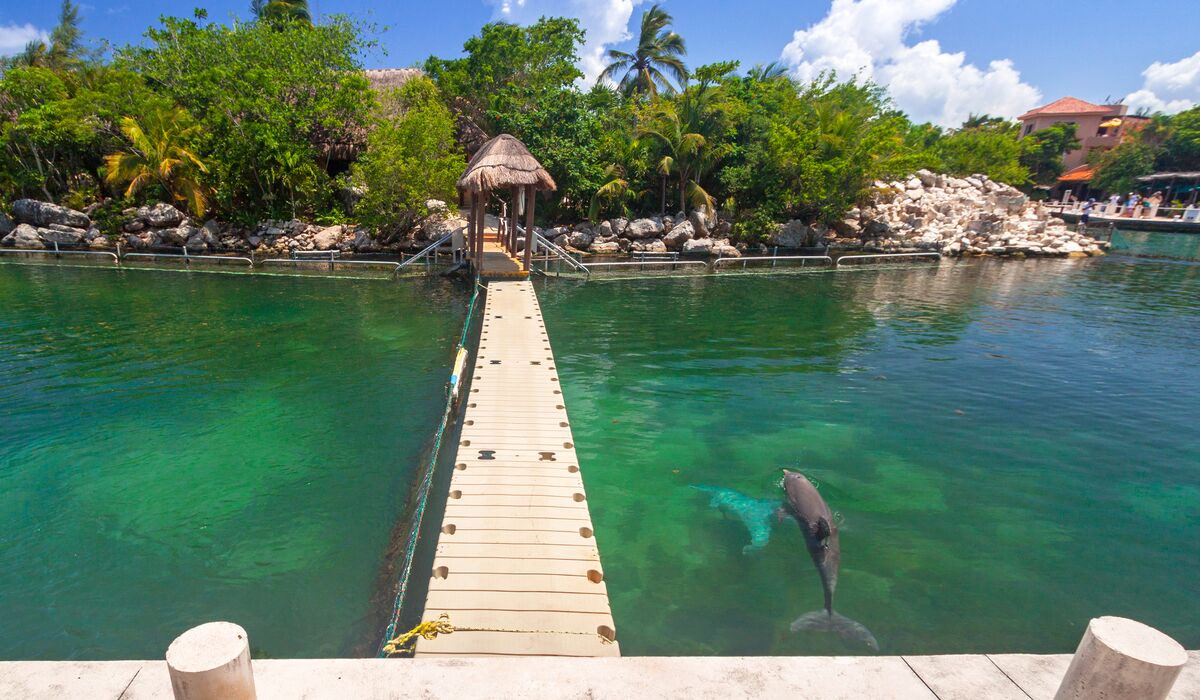 Photo of Others in Puerto Aventuras