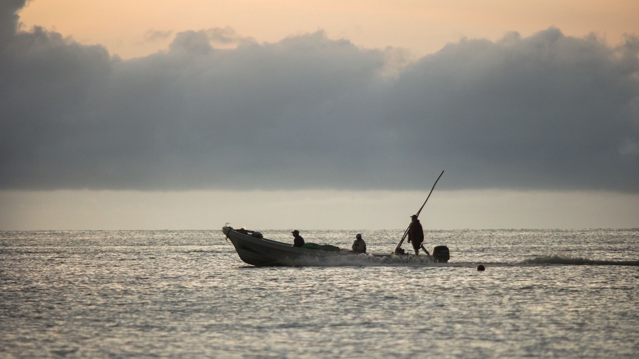 Photo of Others in Isla Holbox