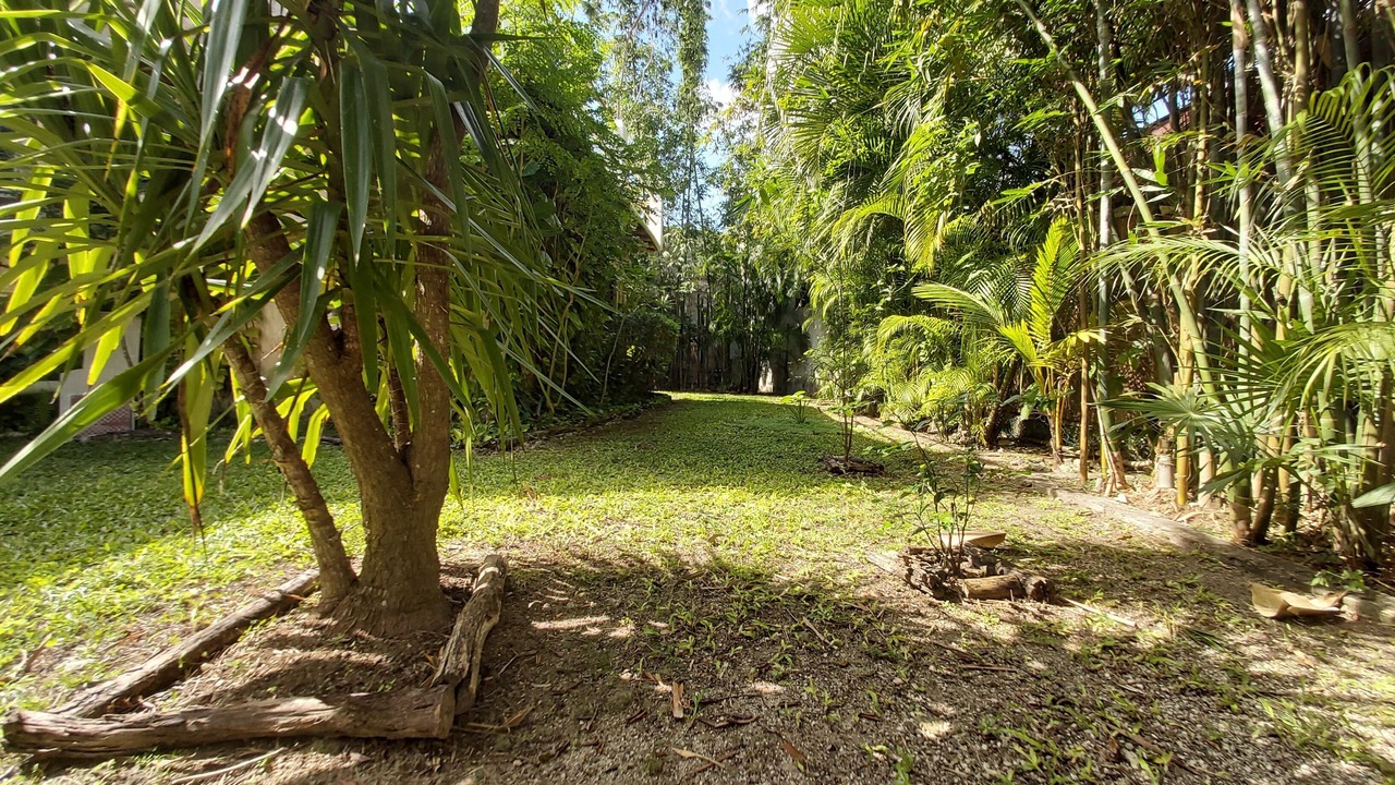 Photo of Outdoor in Cozumel