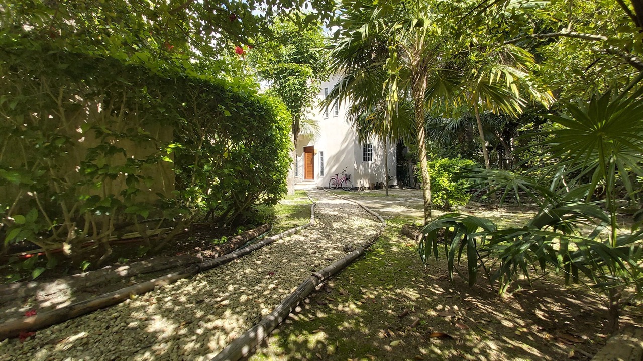 Photo of Outdoor in Cozumel