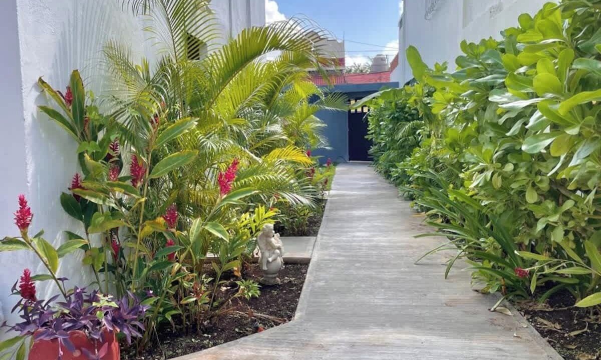 Photo of Outdoor in Downtown Cancun