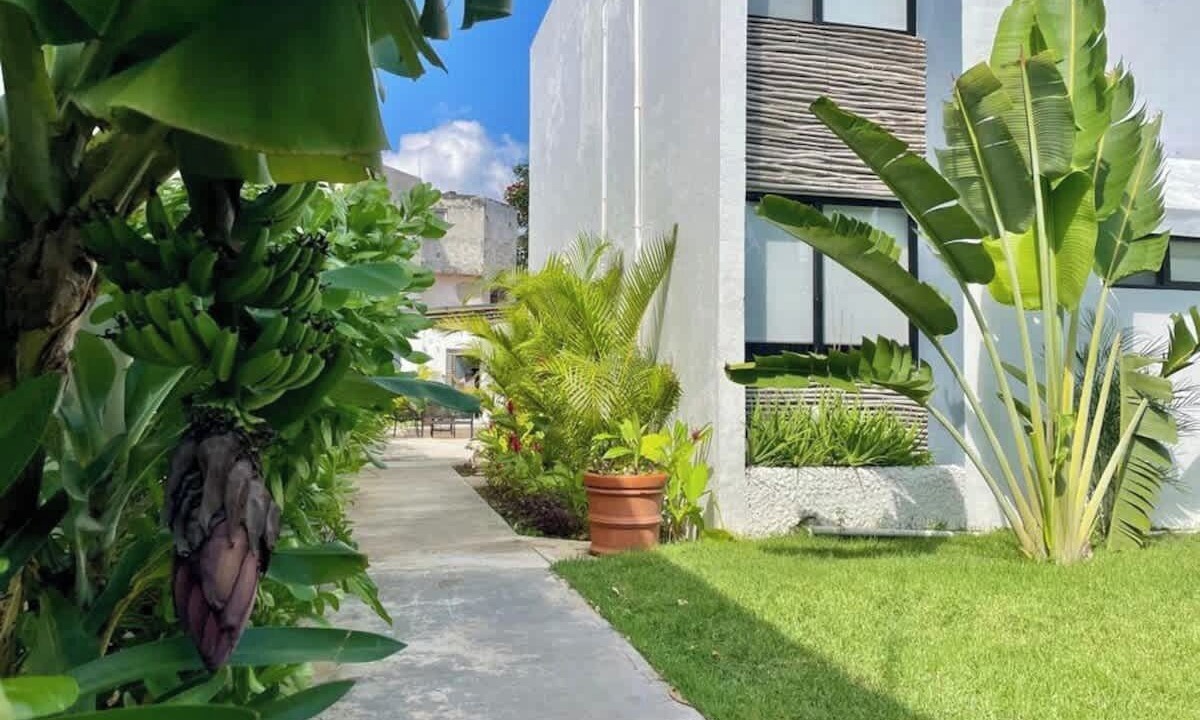 Photo of Outdoor in Downtown Cancun