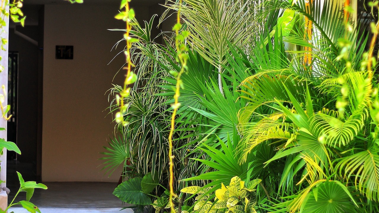 Photo of Outdoor in Ek Balam Village